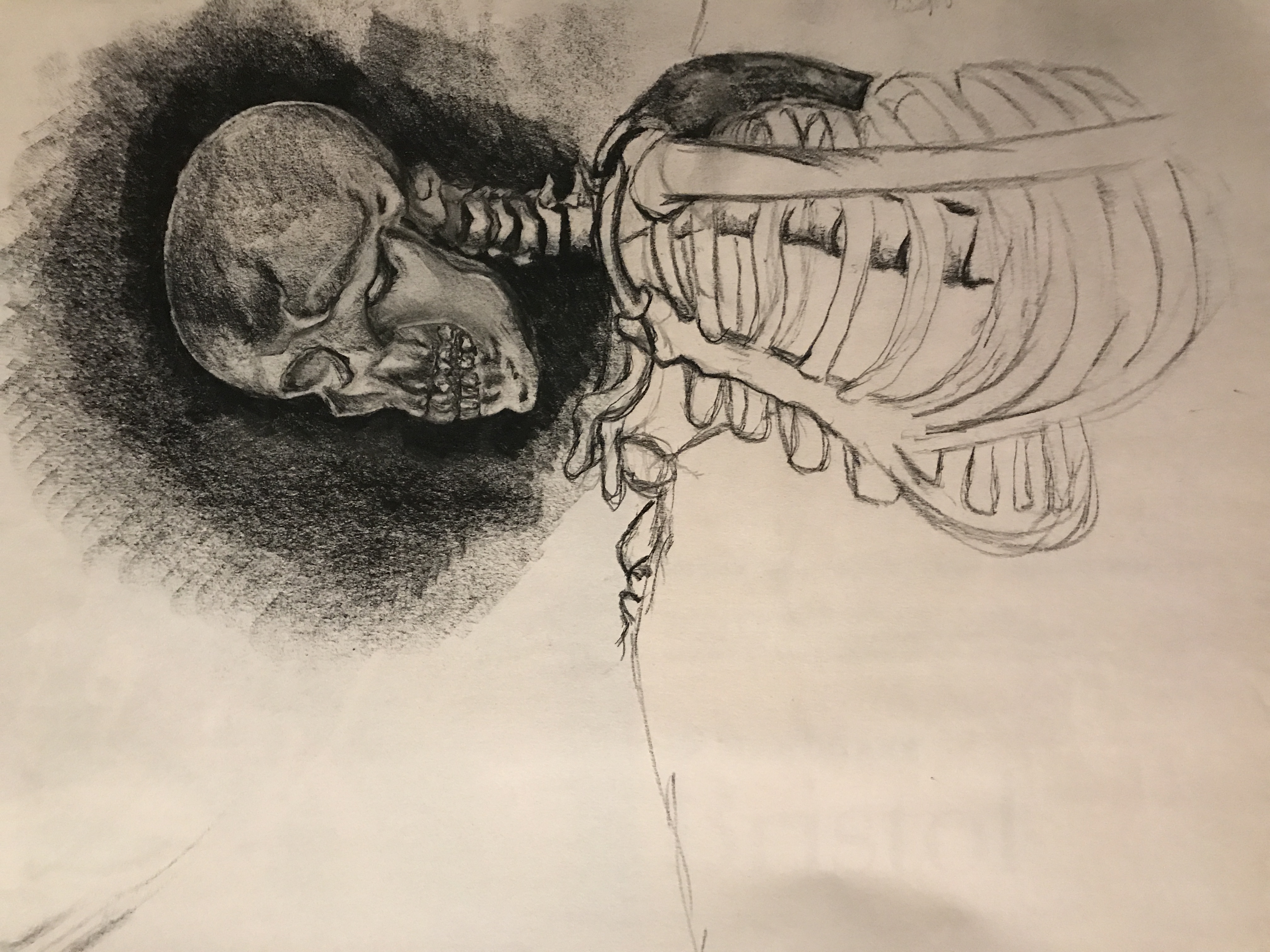 Drawing
